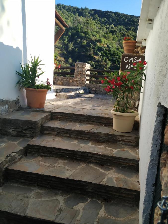 Cortijo La Solana Guest House เกวคาร์-เซียร์รา ภายนอก รูปภาพ
