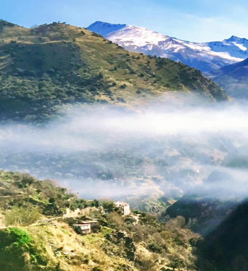 Cortijo La Solana Guest House เกวคาร์-เซียร์รา ภายนอก รูปภาพ