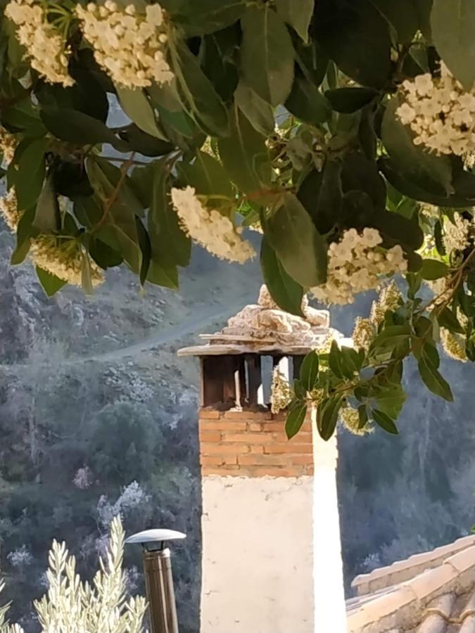 Cortijo La Solana Guest House เกวคาร์-เซียร์รา ภายนอก รูปภาพ