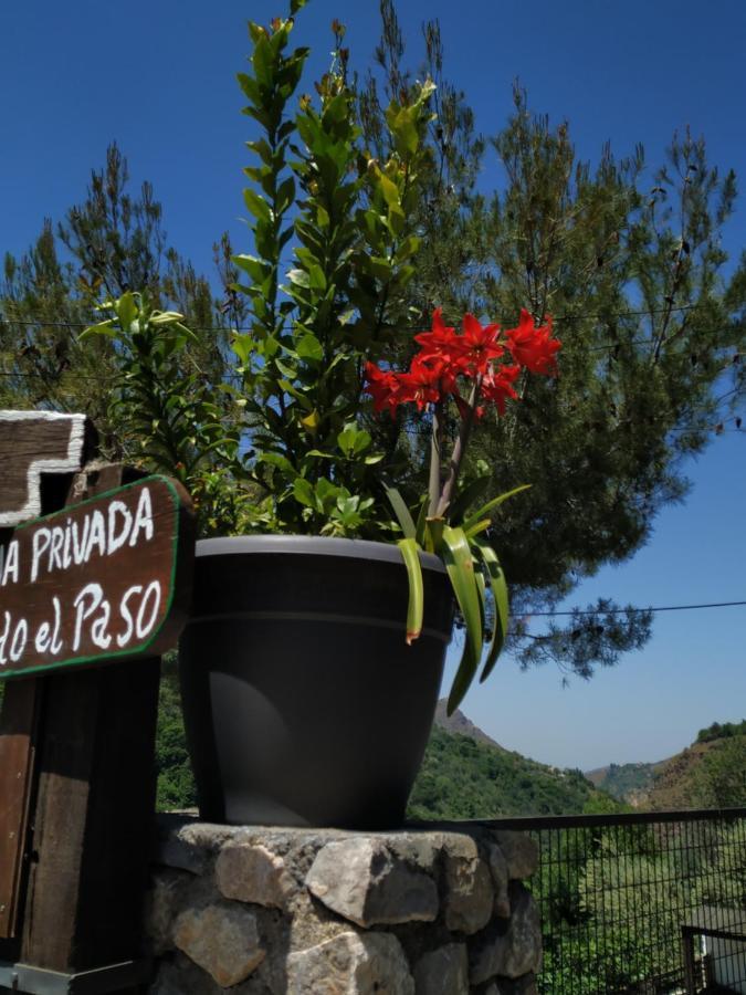Cortijo La Solana Guest House เกวคาร์-เซียร์รา ภายนอก รูปภาพ