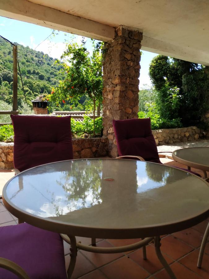 Cortijo La Solana Guest House เกวคาร์-เซียร์รา ภายนอก รูปภาพ