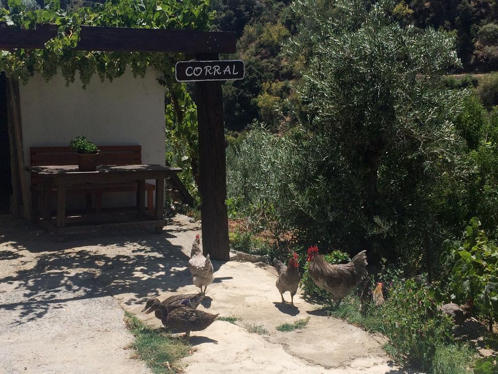Cortijo La Solana Guest House เกวคาร์-เซียร์รา ภายนอก รูปภาพ
